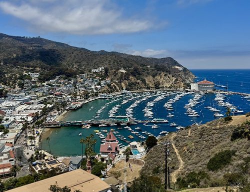 What Every Boater Should Know Before Anchoring at Catalina Island