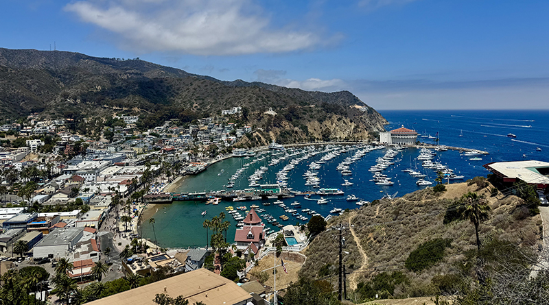 Catalina Anchorage
