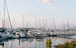 boats in a marina