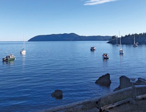 Slowing Down in the San Juan Islands